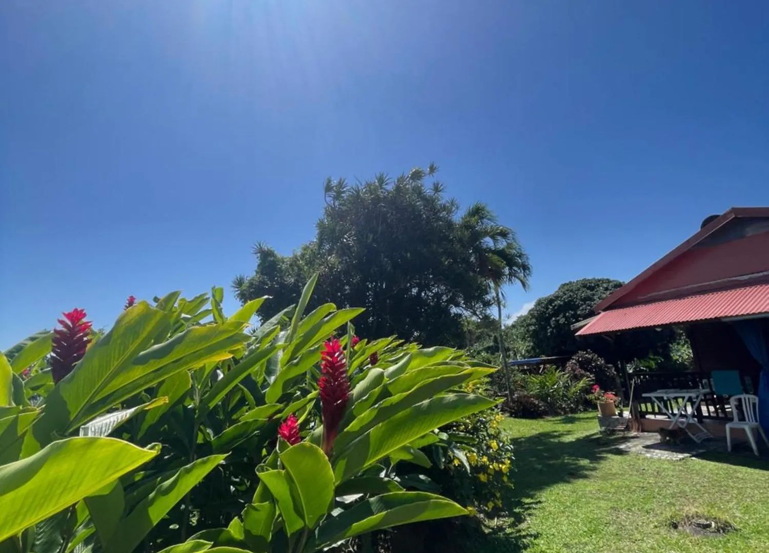Eden Creole Guest House Trois-Rivieres Country house